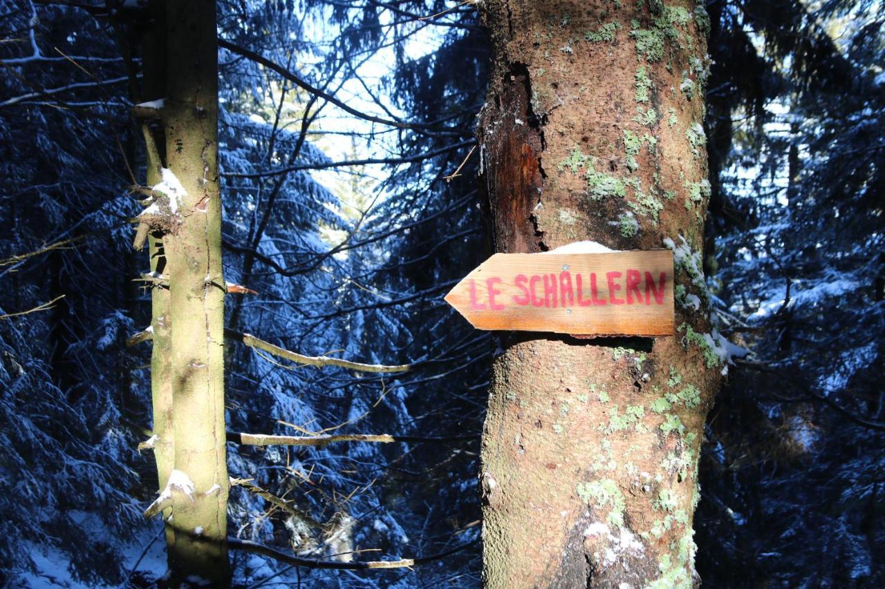 Le Schallern - Acces A Pieds Depuis Le Gaschney Acomodação com café da manhã Muhlbach-sur-Munster Exterior foto